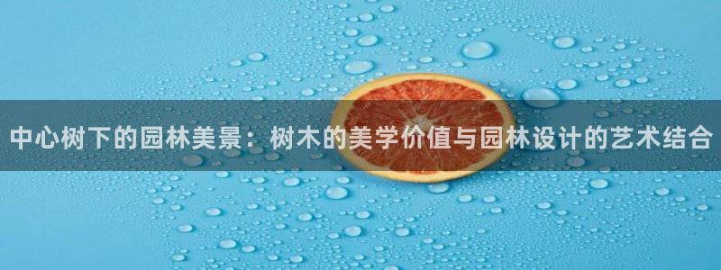 新宝gg代理登录