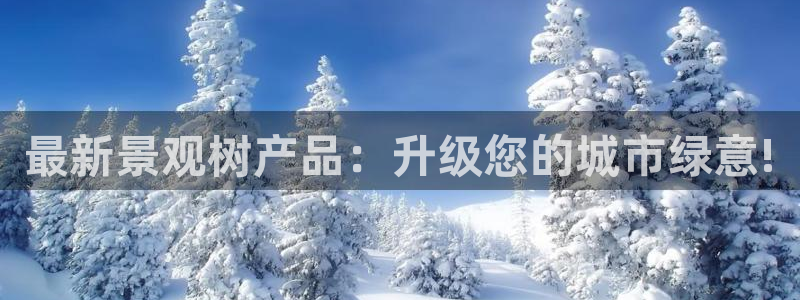 新宝GG无法充值