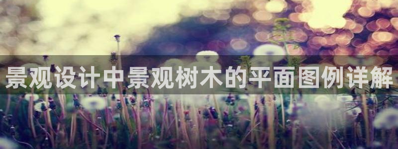 新宝GG类别78778：景观设计中景观树木的平面图例详解