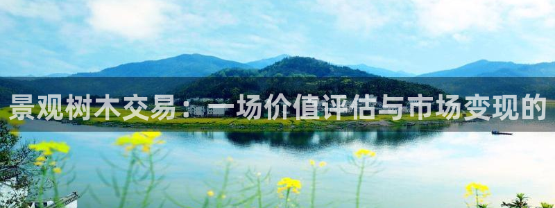 新宝gg登录注册：景观树木交易：一场价值评估与市场变现的