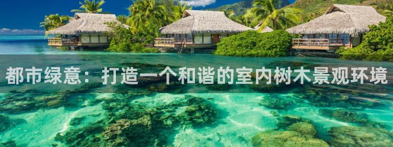 新宝 gg 登录注册