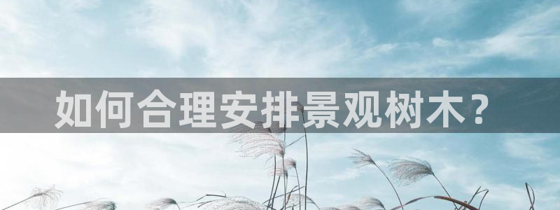 新宝gg软件下载