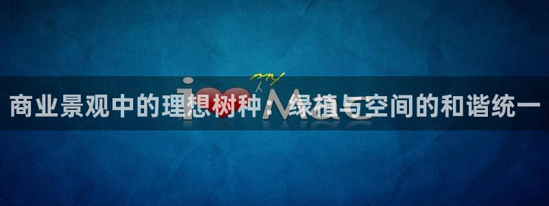 新宝gg娱乐首页