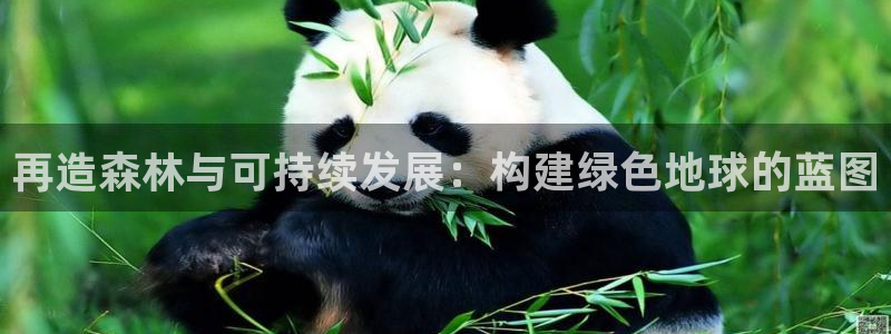 创造奇迹 新宝gg