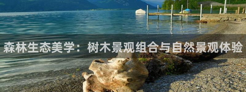 新宝gg6娱乐注册网址