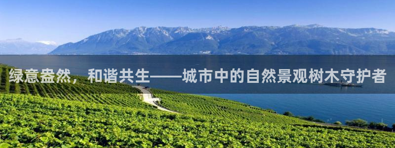 新宝gg如何做到总代理