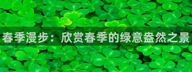 新宝gg帐号注册