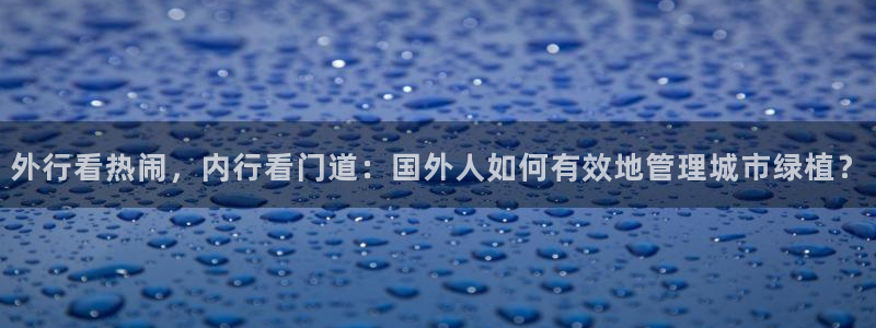 新宝gg直属上级