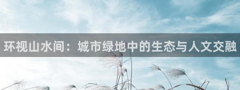 新宝gg娱乐上皇巢网