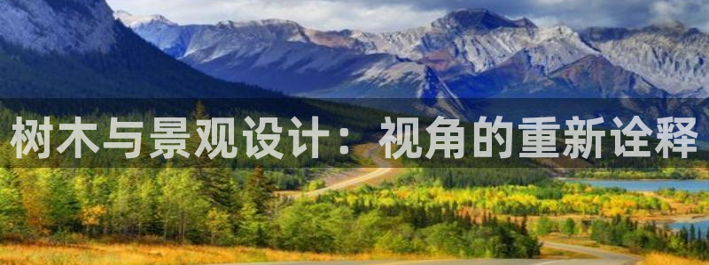 新宝gg为什么没人管