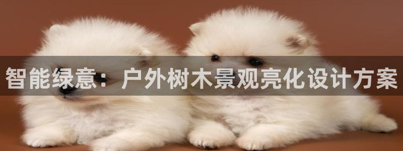 新宝gg平台q891465