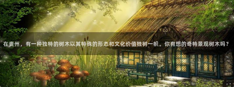 新宝GG专业团队