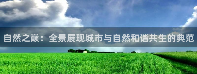 新宝gg主