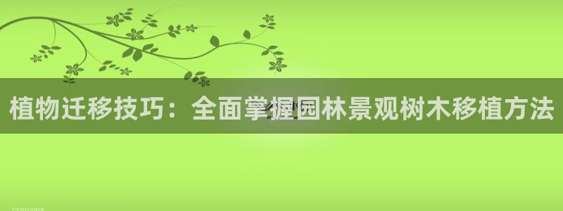 新宝gg代理