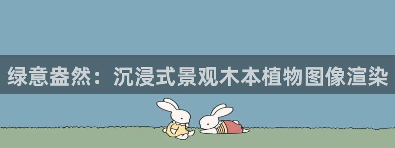 新宝gg与新宝5