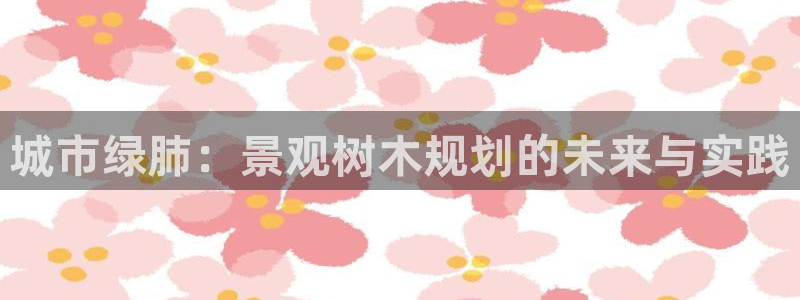 新宝gg成立
