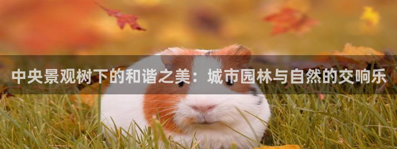 新宝gg重庆