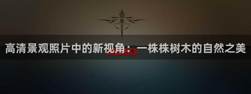 新宝gg体彩