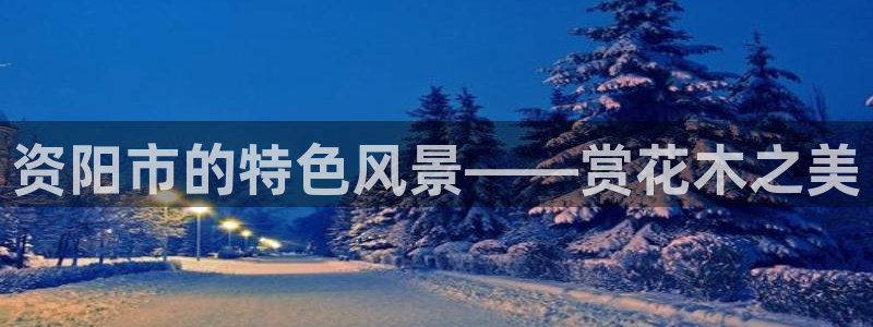 新宝gg平台连接