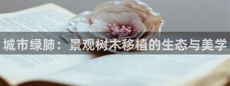 新宝奇迹GG