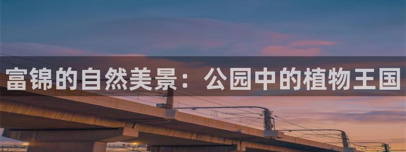 新宝gg   创造奇迹