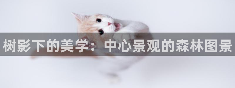 新宝gg主管111