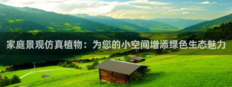 网站新宝GG