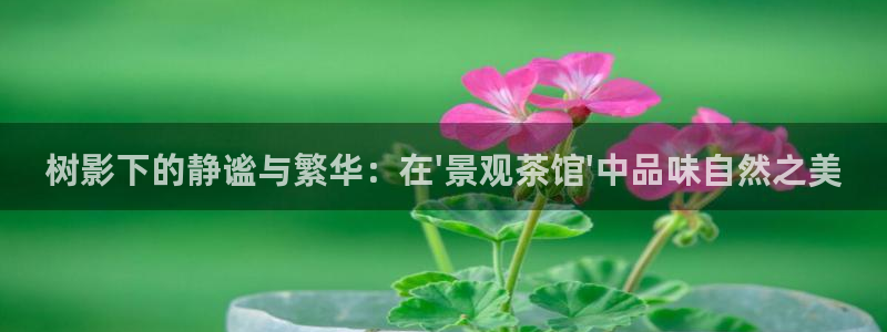 新宝皇冠gg