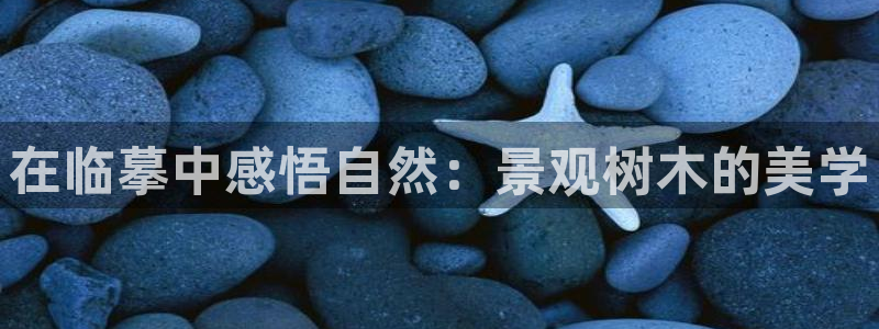 新宝gg开奖结果