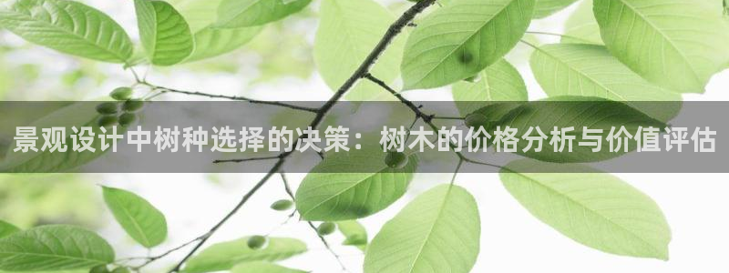 新宝gg合作
