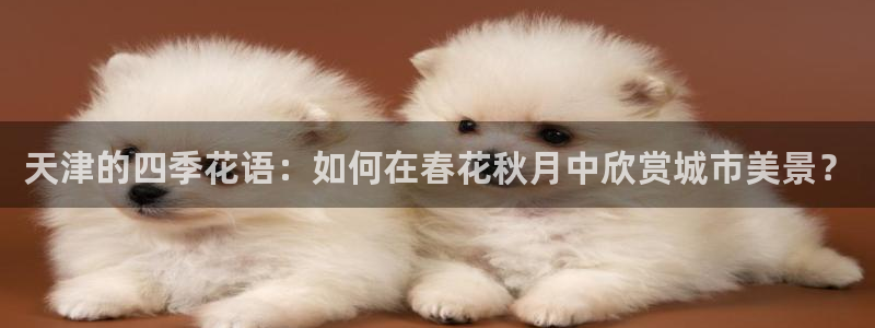 新宝gg开户