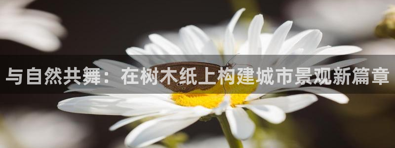 新宝GG创业奇迹