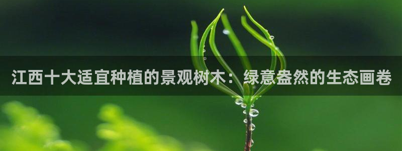 网站是新宝gg