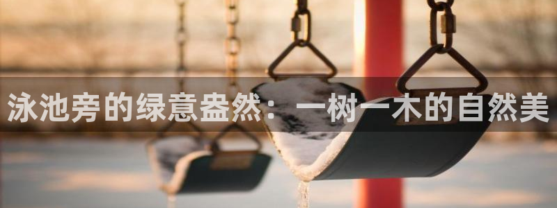 新宝GG之家