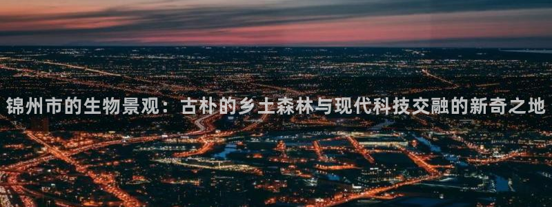 新宝gg游戏登录