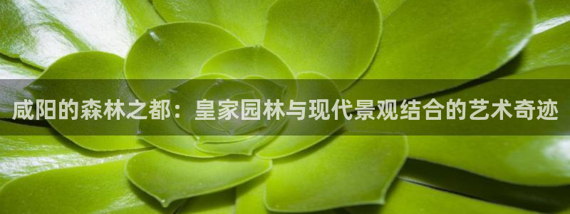 新宝gg娱乐官网
