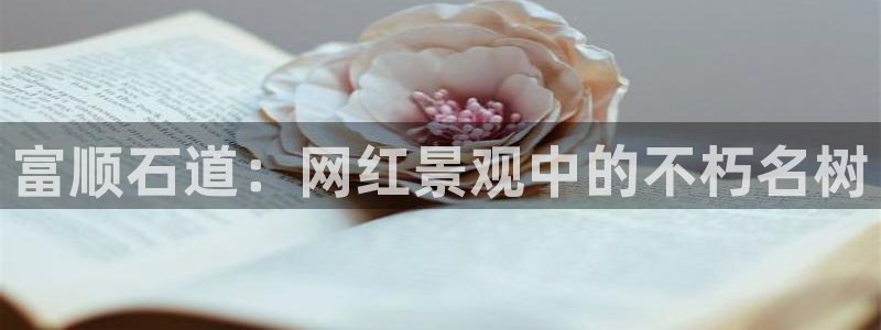 新宝gg娱乐官网