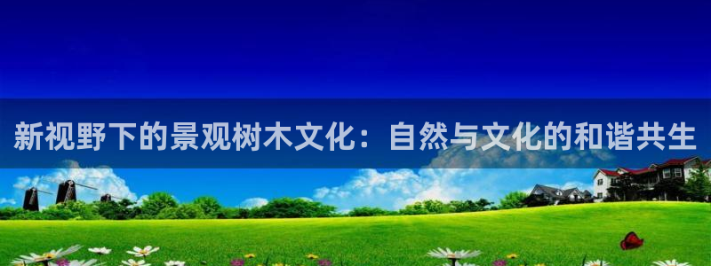 新宝GG手机客户端