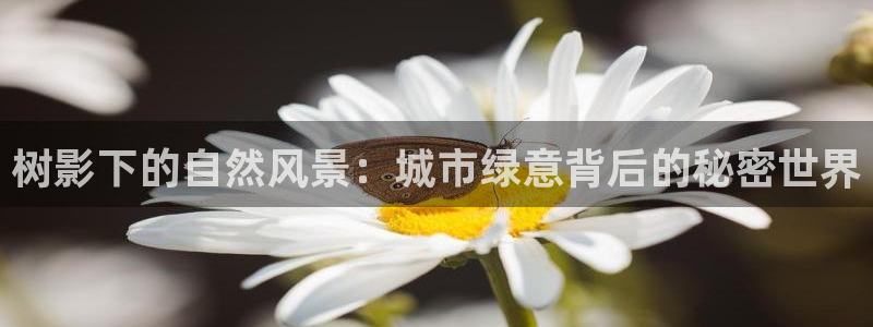 新宝GG娱乐下载