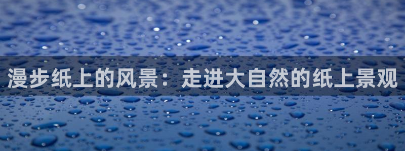gg新宝创新
