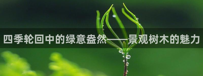 新宝gg登录页面