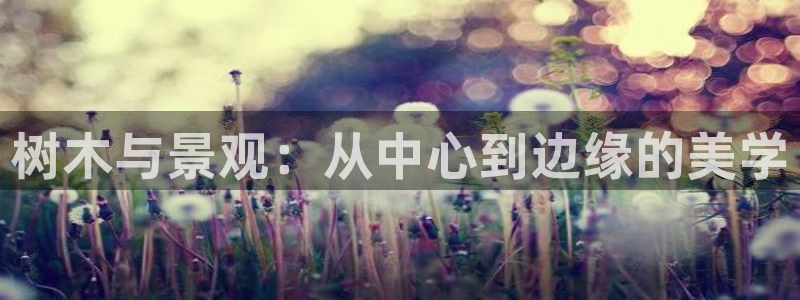 新宝gg网站