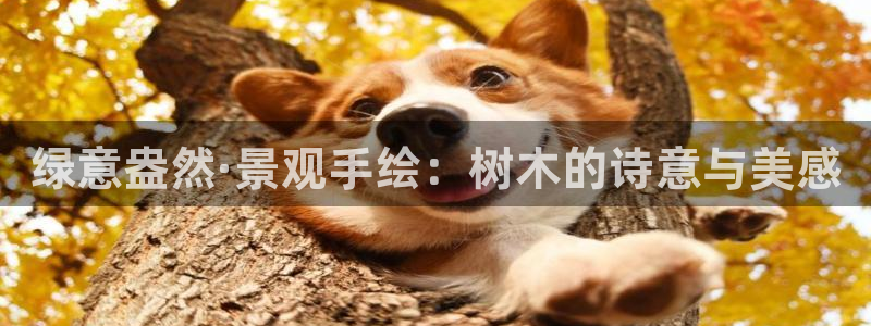 新宝gg咨询55312