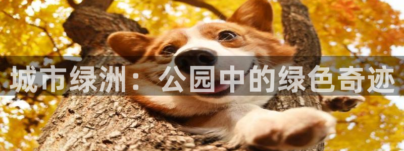 新宝gg娱乐登录地址