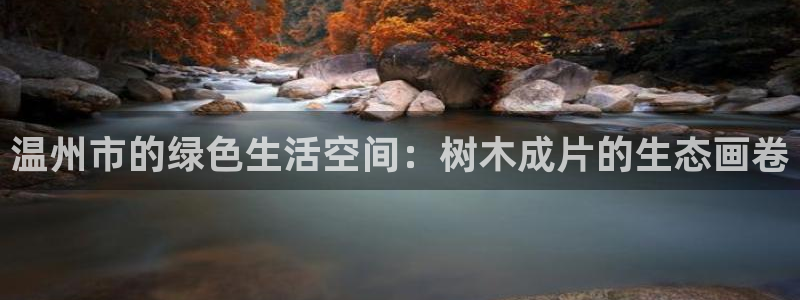 新宝gg怎么样