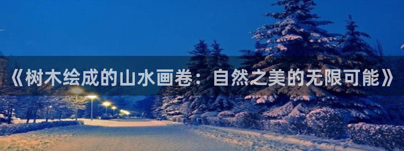 新宝六与新宝gg