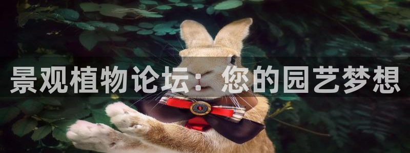 新宝gg平台怎么样