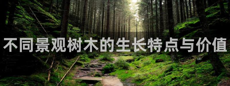 gg新宝时时彩：不同景观树木的生长特点与价值