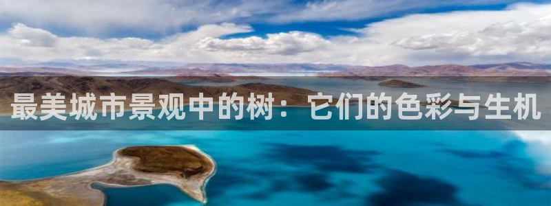 新宝gg搜740005：最美城市景观中的树：它们的色彩与生机