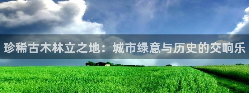 新宝GG都有哪些计划：珍稀古木林立之地：城市绿意与历史的交响乐